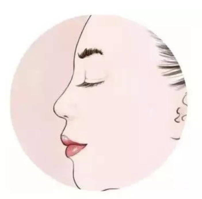 Cleviel 高鼻專用透明質酸 8 2022 04 07 下午12.28.25